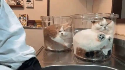 설거지 중 옆에 양동이를 둔 이유