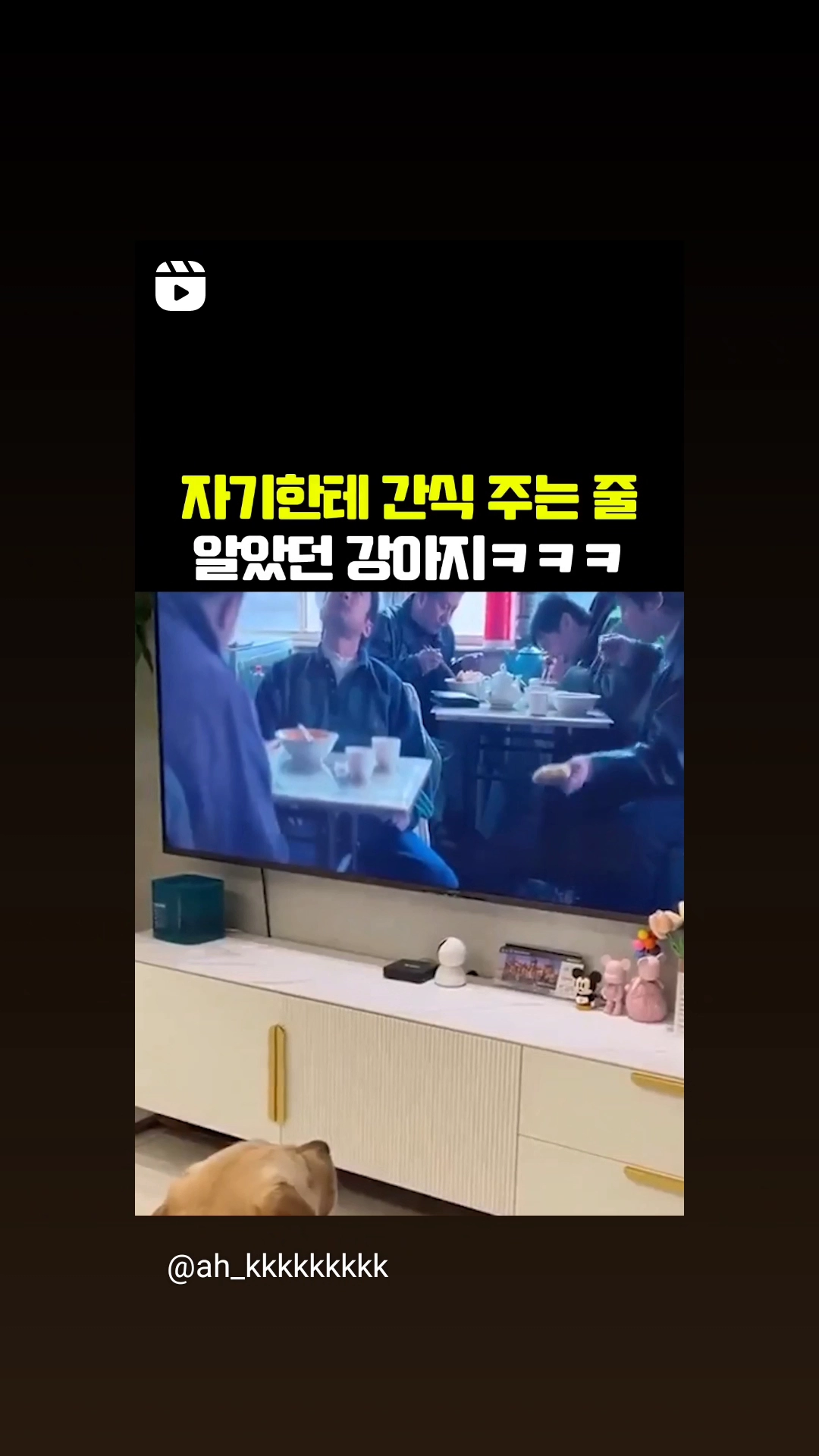 자기한테 간식주는줄 알고