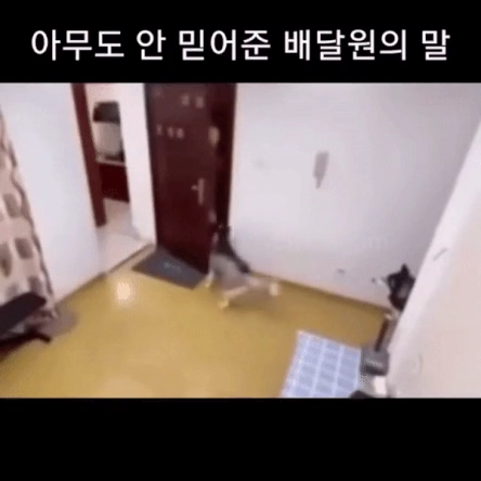 아무도 안믿어준 배달원의 말