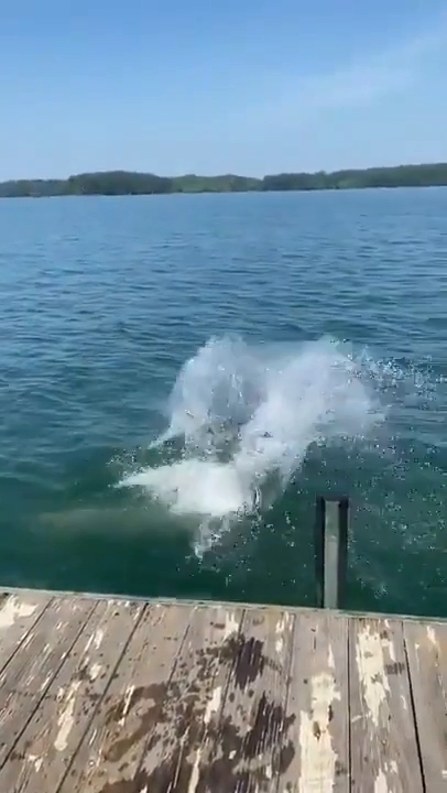 물살이 빠를때 위험한 이유