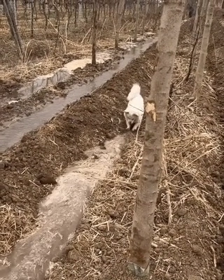 혼자서 배수로 작업