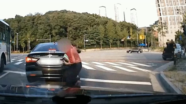 한문철 티비 레전드 발차기 할배