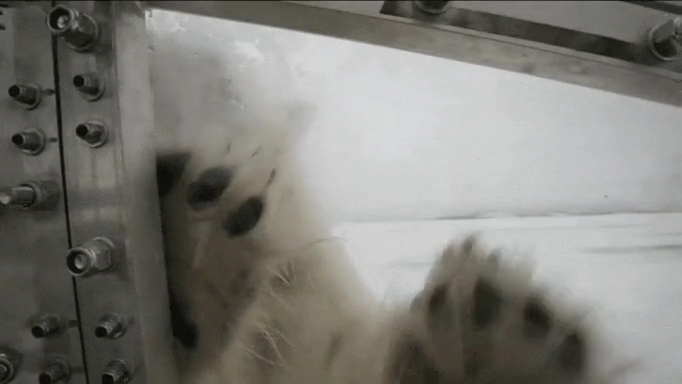 문좀열어주세요... 추워요...