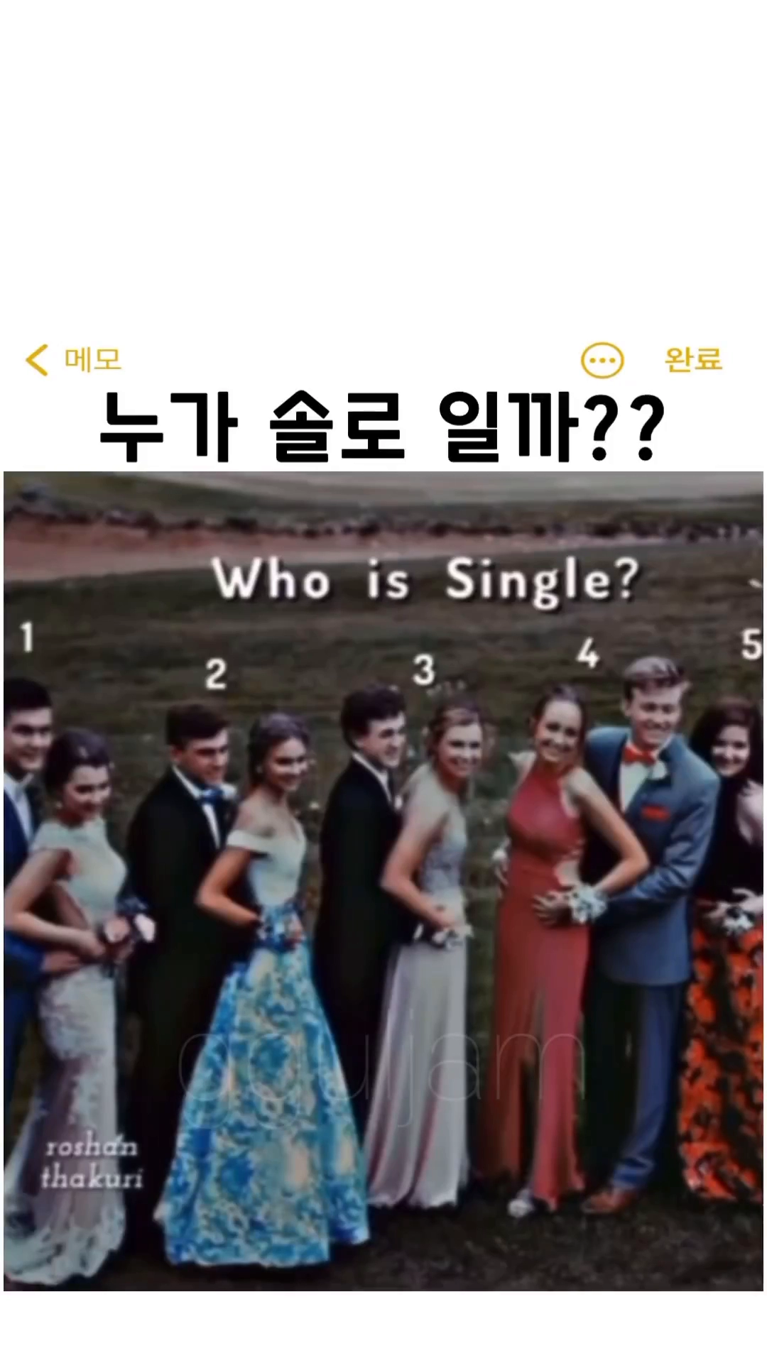 이중 누가 솔로일까?