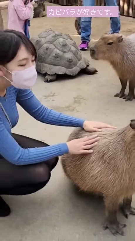 실제로 보면 엄청크다고함