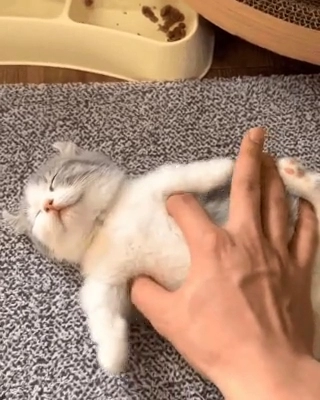 하늘 나는 꿈을 꾸는 ㅋㅋ