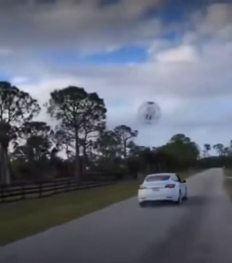 나도 차에 치여보고 싶다...