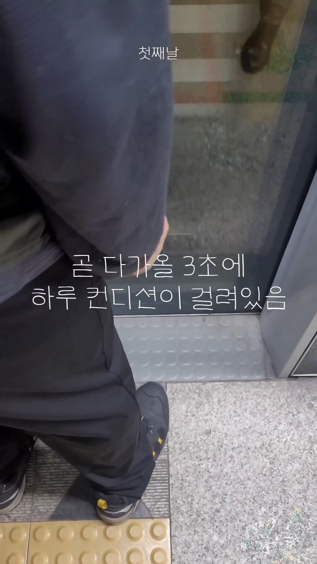 서울사는 직장인 지하철 공감...