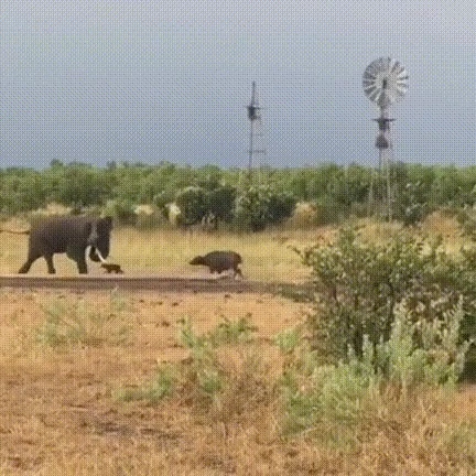 우리애가 아직 어려서 철이 없네요 죄송해요
