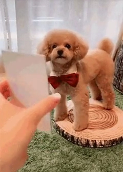 자 찍습니다 포즈 취하세요