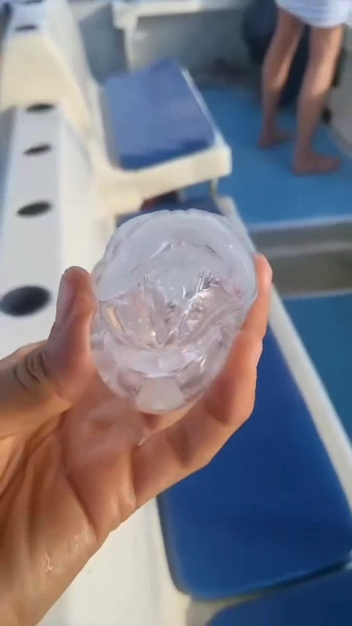 겁나 큰 투명 플랑크톤