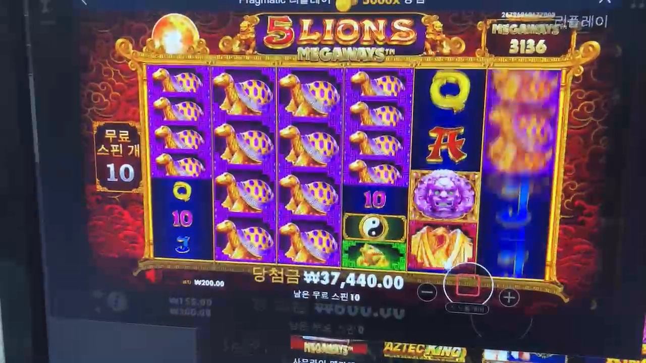 오라메 맥스...한 10일 빨드만 주네요