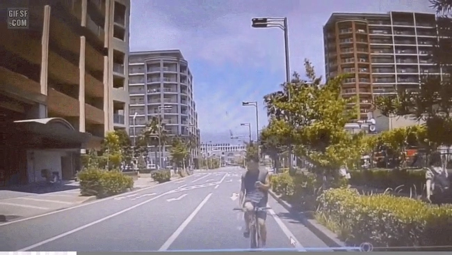 자라니 자살테러