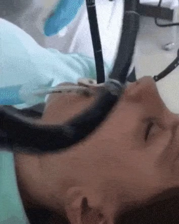 러시아 여성의 몸에서 나온것