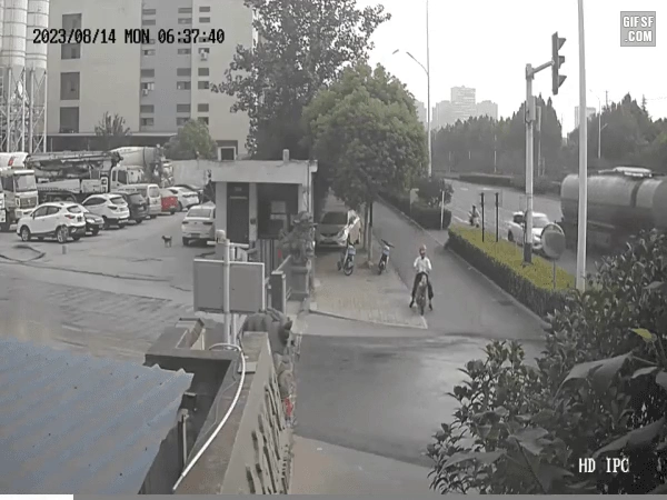 레미콘에 깔려 죽을뻔한 자라니