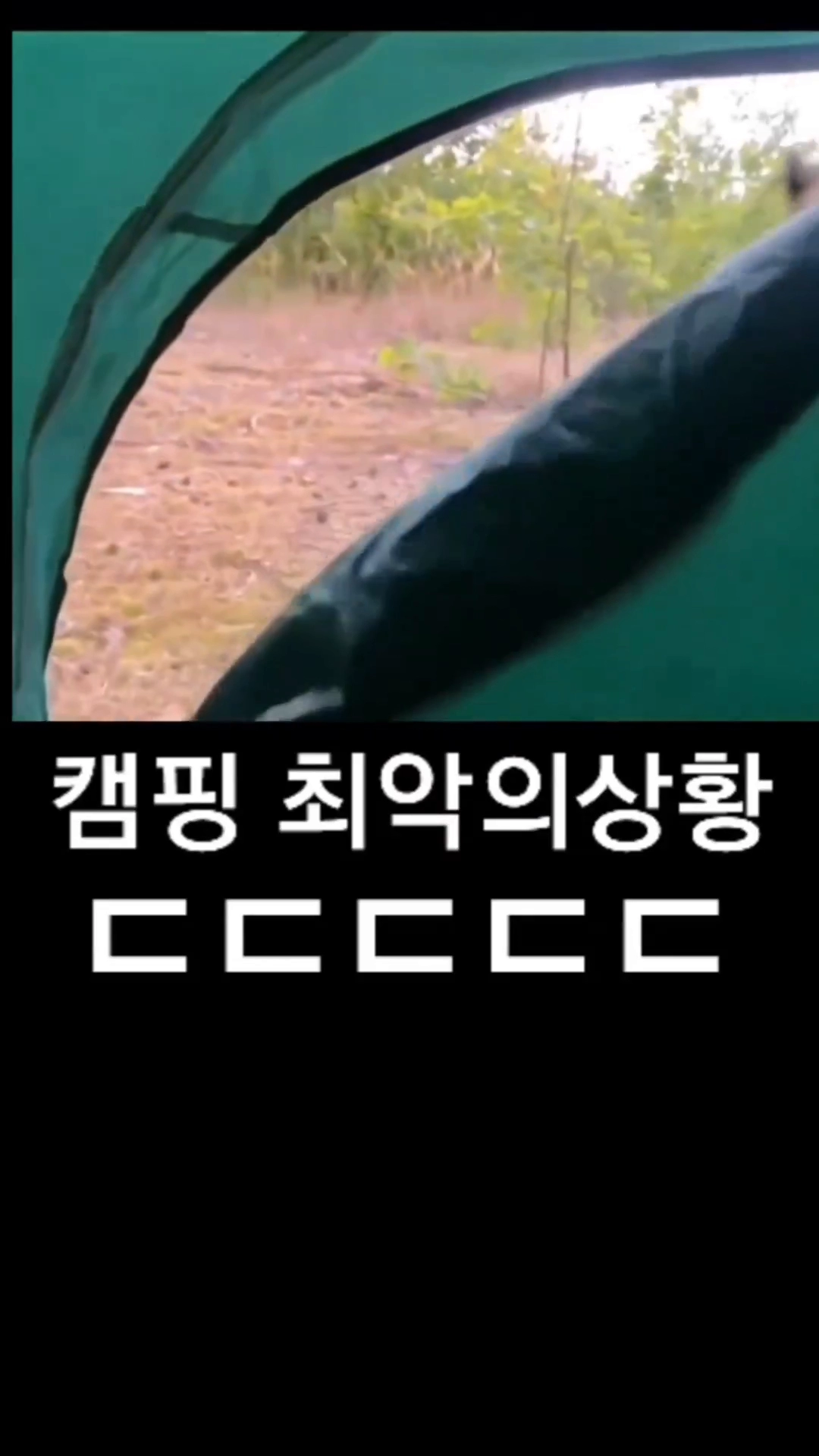 외국에서 캠핑할때 제일 위험한거 ㄷㄷㄷ