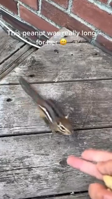 이렇게 큰건 안들어가