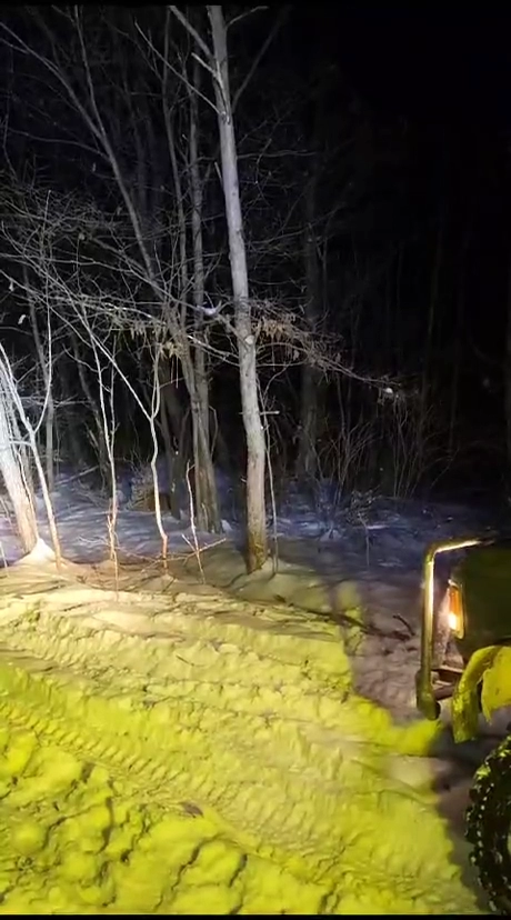 길고양이로 인해 제설 작업 중단