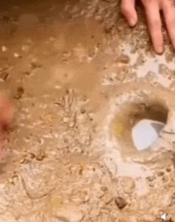 새끼악어 이용해서 메기 낚시