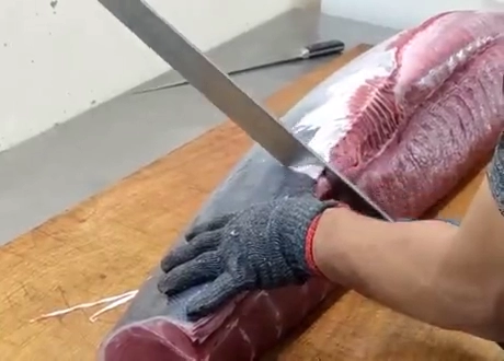 참치대뱃살 손질