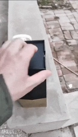 보자마자 비명 지르는 짤