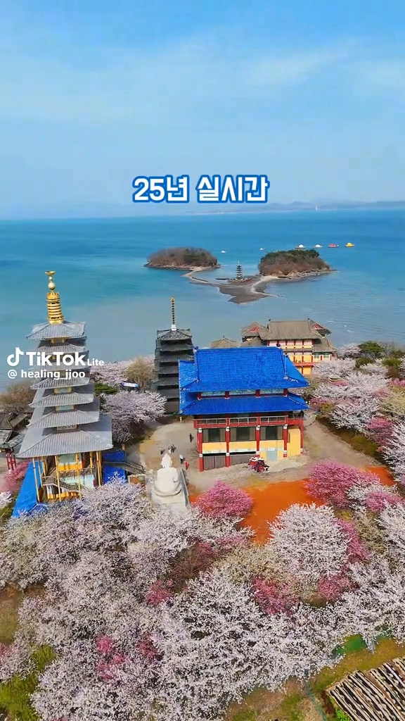 태안에 이런 명소가 있네