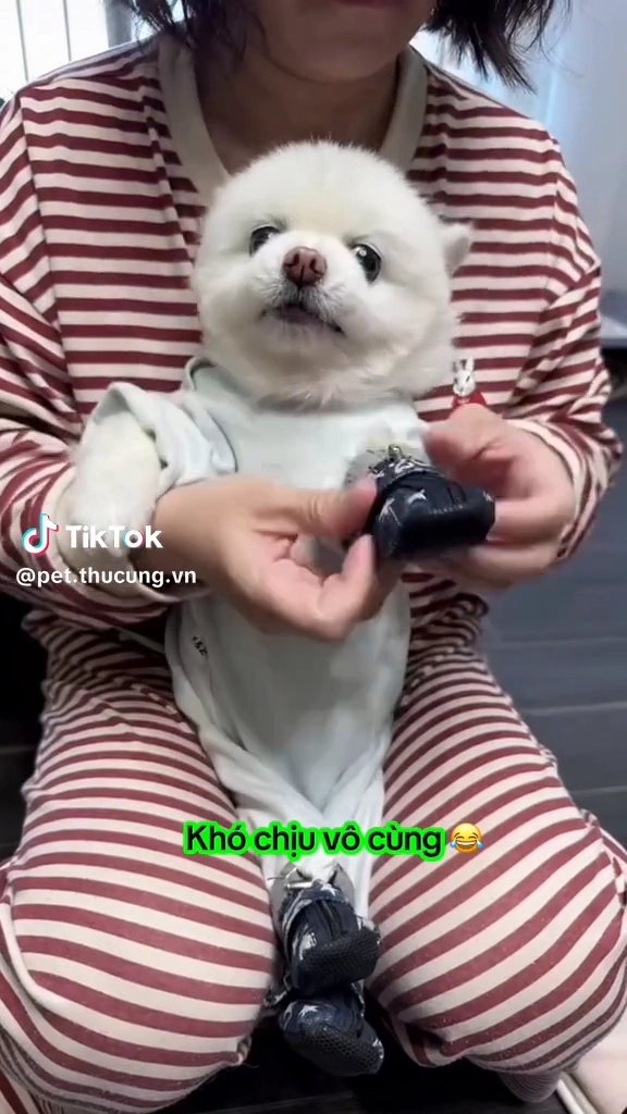 넘 귀엽잖아
