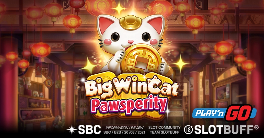 빅윈 캣 파우스페리티 [플레이엔고]