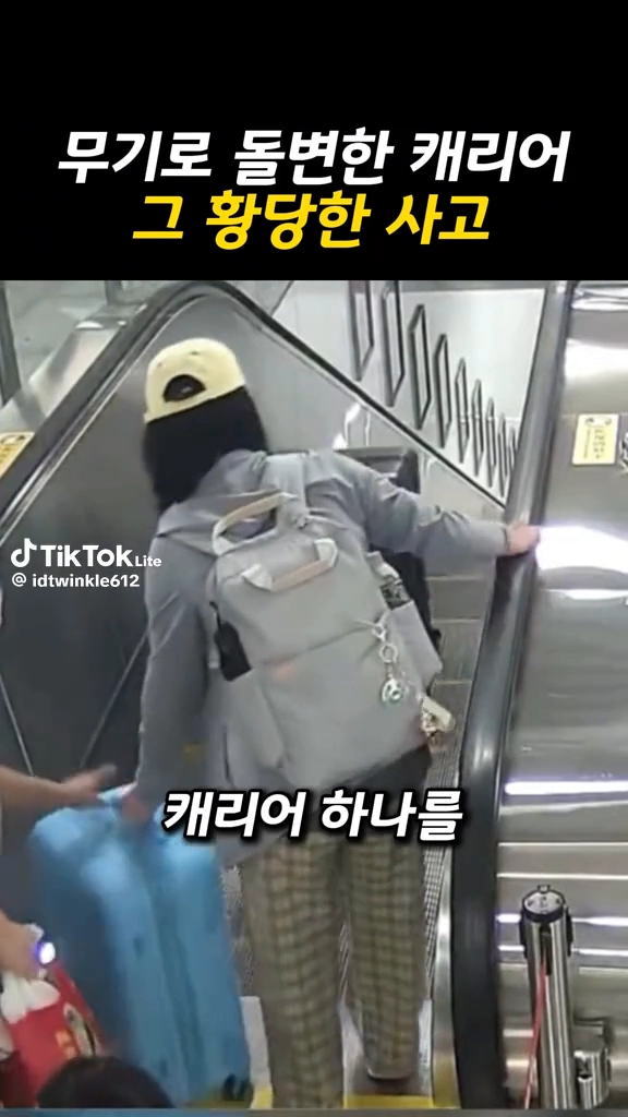 무게로 돌변한 캐리어