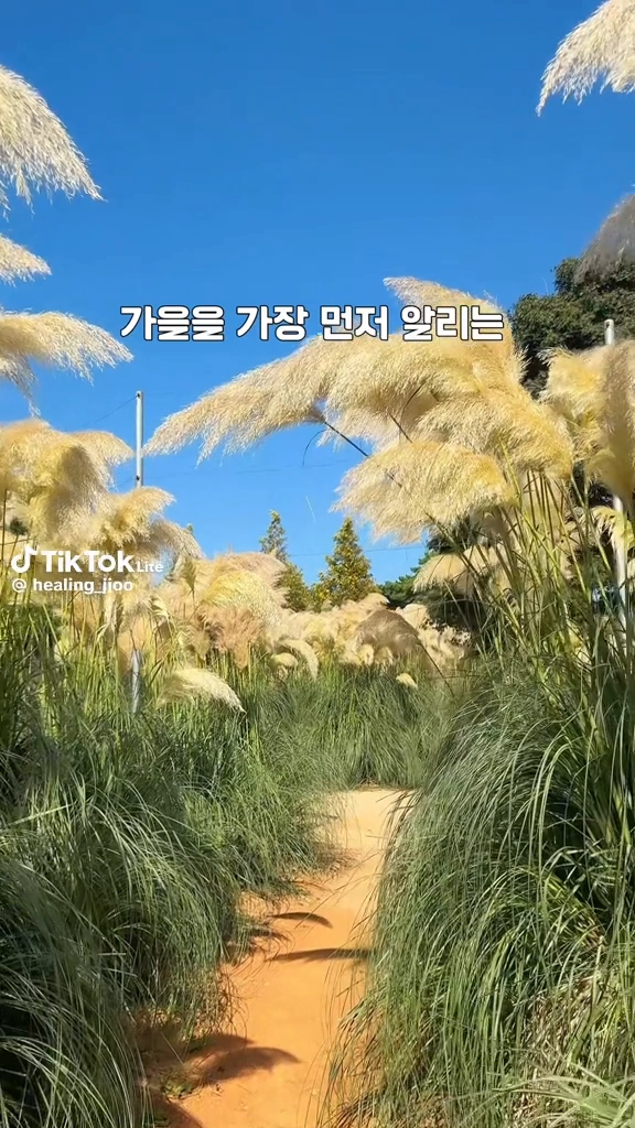 태안청산수목원