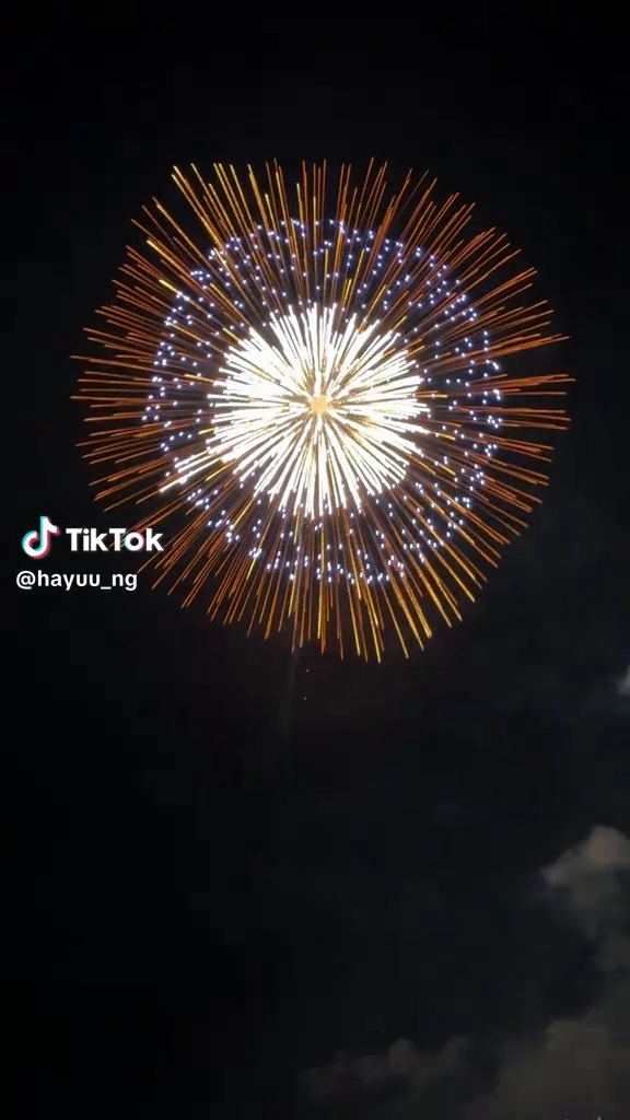 서울세계불빛축제