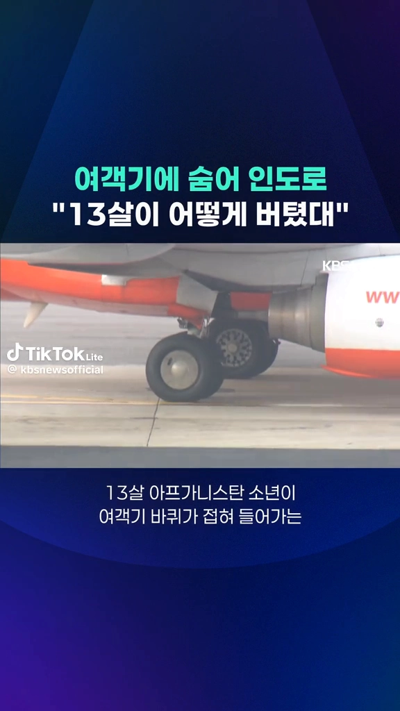 여객기에 숨어 인도로