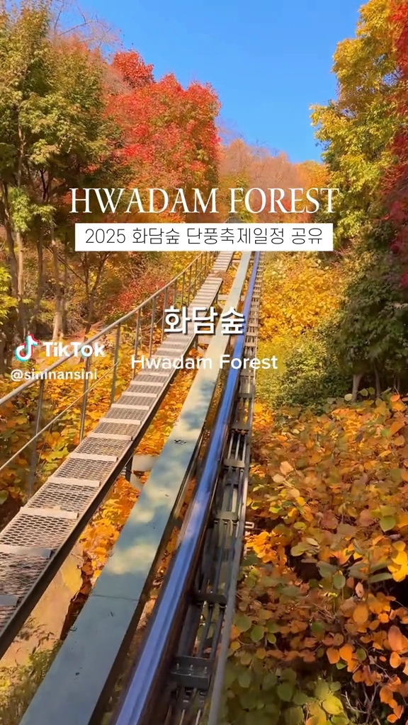 화담숲단풍축제