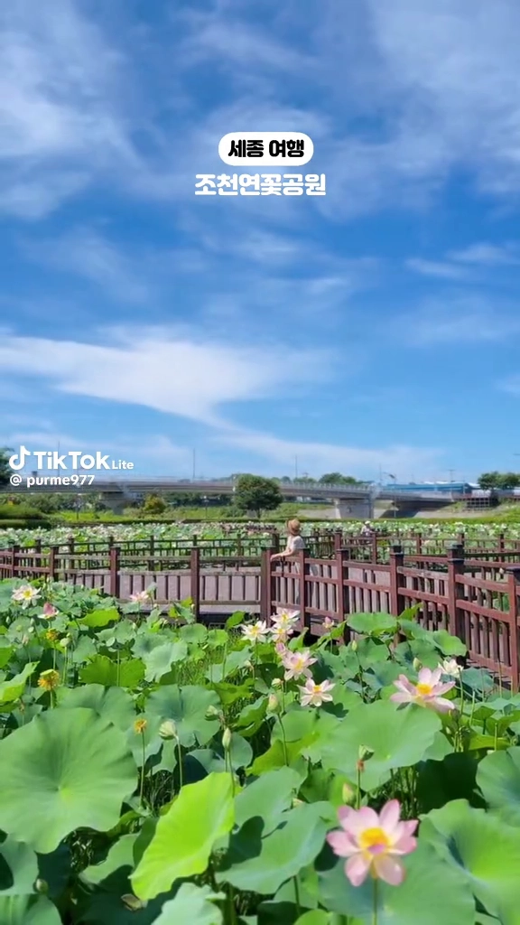 조천연꽃공원