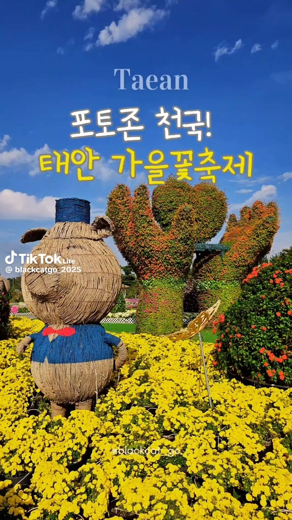 태안 가을꽃박람회