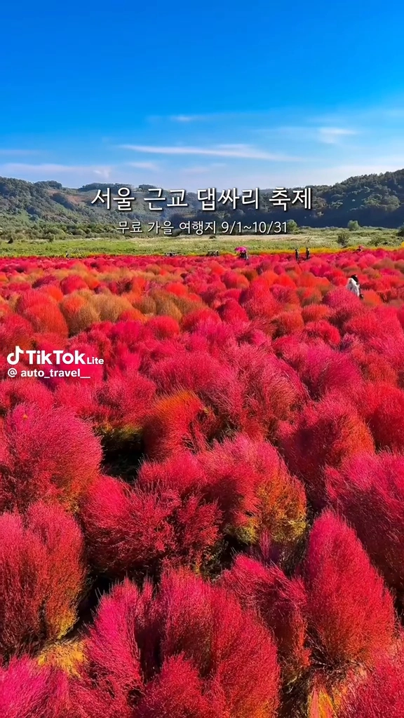 서울근교 댑싸리축제