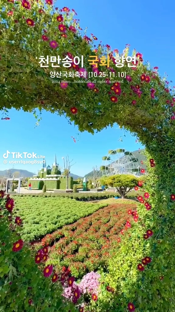 천만송이 국화향연