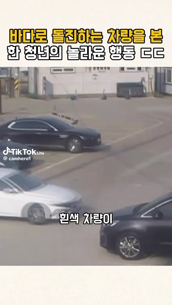 바다로 돌진하는 차량