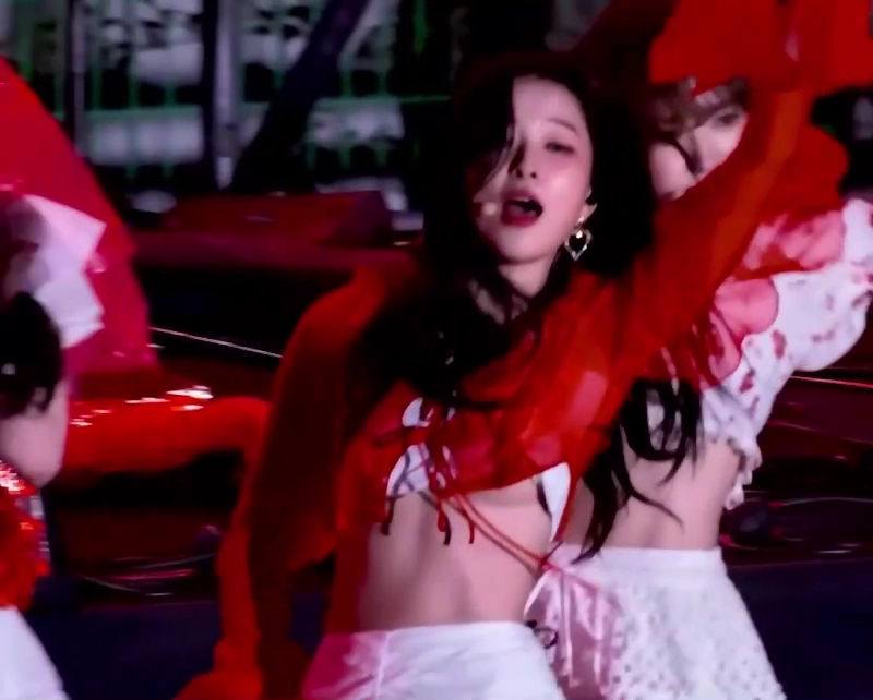 레드벨벳 슬기 밑슴 노출 귀하다 이 영상