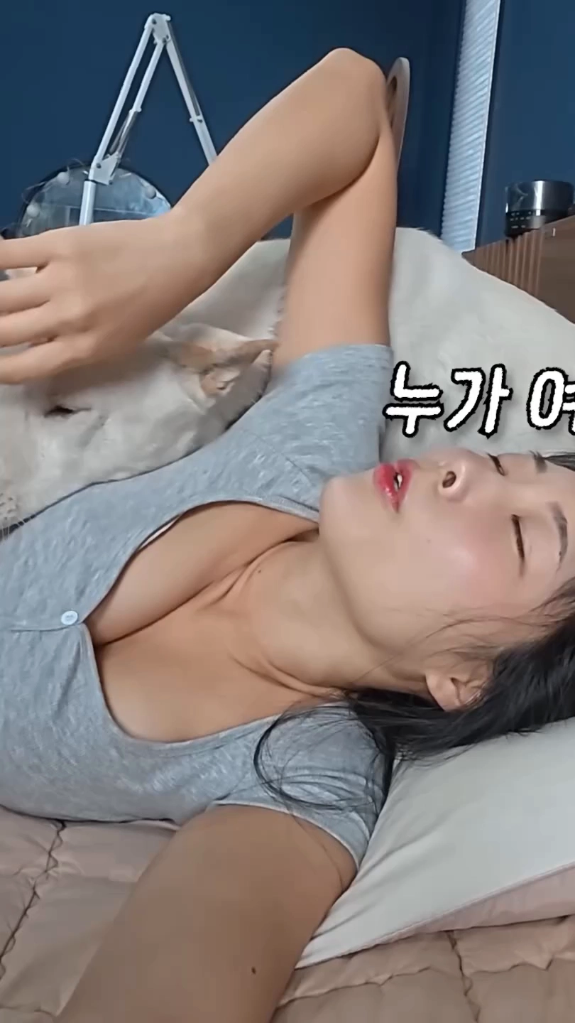 개조이 가슴 베개로 사용하는 반려견