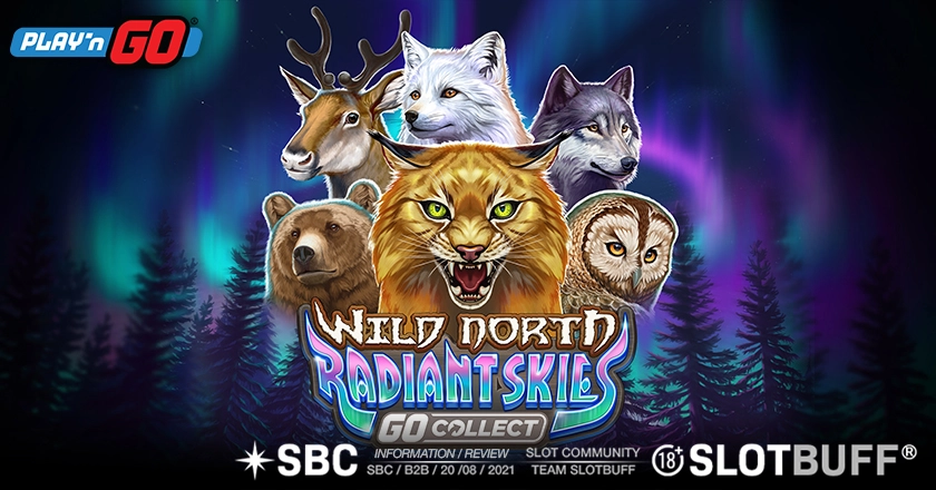 와일드 노스 레이디언트 스카이즈 고 컬렉트