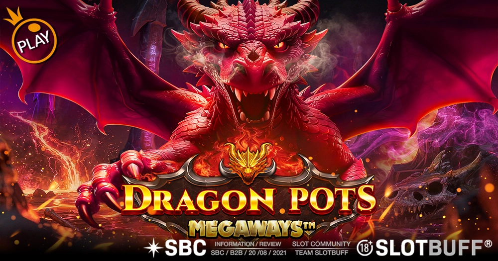 드래곤 팟츠 메가웨이즈